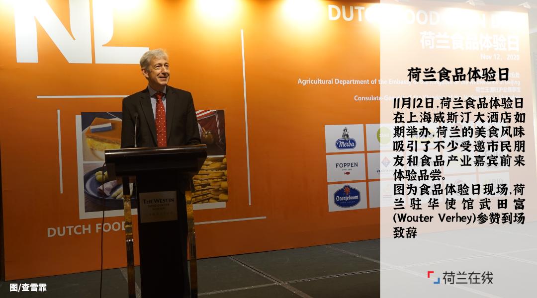 荷兰的食物有哪些,荷兰食物营养表