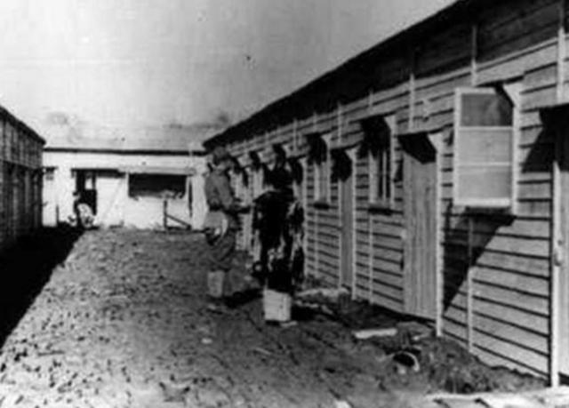 日军到底有多残忍?*安妇慰**拿出一种东西,揭露了日本人罪行