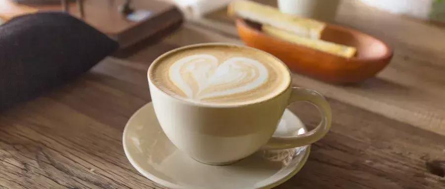 猫咖越来越受欢迎的原因,为什么年轻人喜欢去猫咖