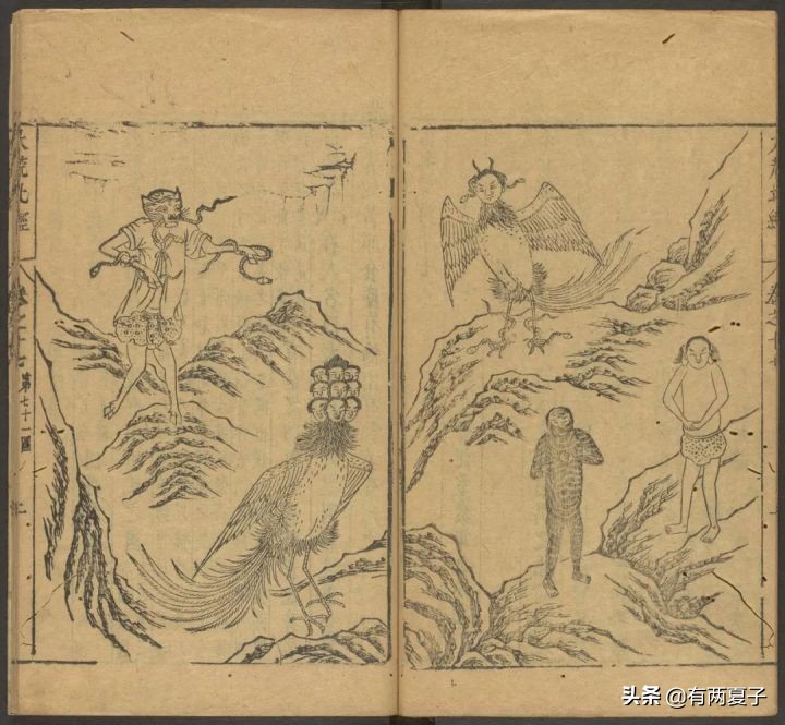 湖北九头鸟是褒义还是贬义,九头鸟到底是贬义还是褒义