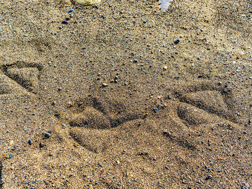 沙漠里的沙子属于矿产资源吗,沙漠里的沙子能造玻璃吗