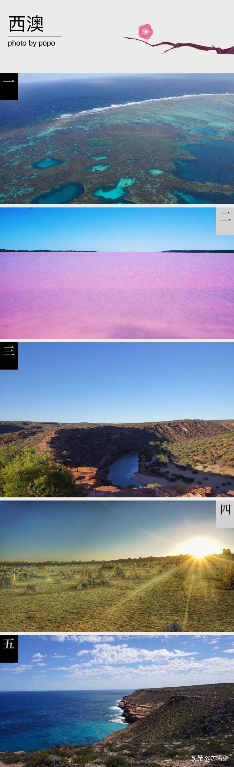 在荒郊野岭汽车没油了,飞机撞鸟灾难视频