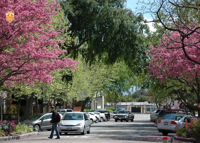 非诚勿扰专业女嘉宾穿搭,非诚勿扰戴眼镜的导师