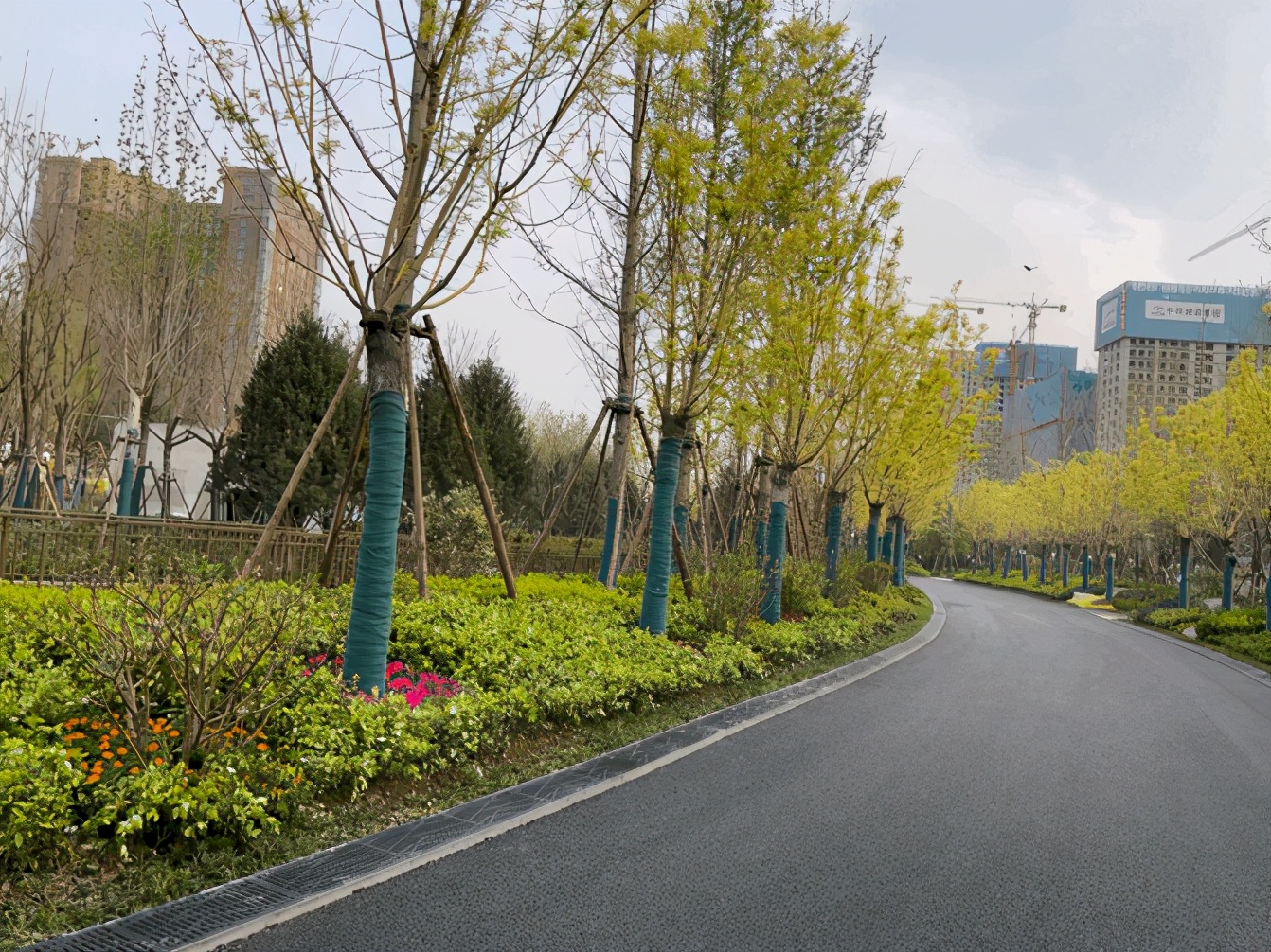 我为地球添一块绿色主题画,我为地球添新绿绘画