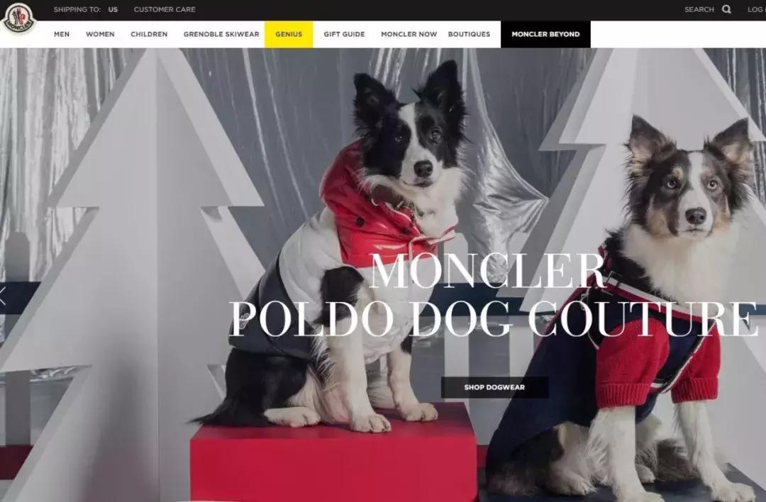 gfg集团简介,gfg公司上市了吗