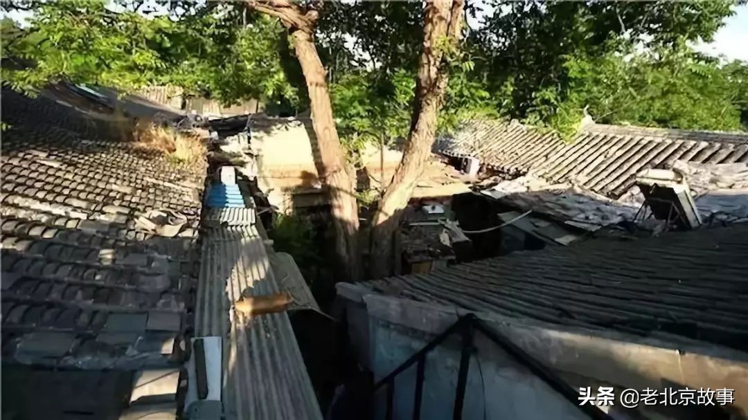 在北京生活的神奇感受,在北京生活中的感悟