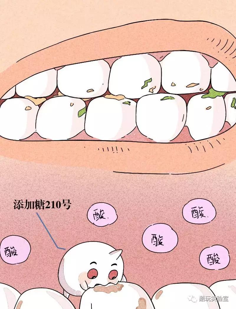吃太多的糖会让你变胖,让你变丑变老的不是脂肪而是糖