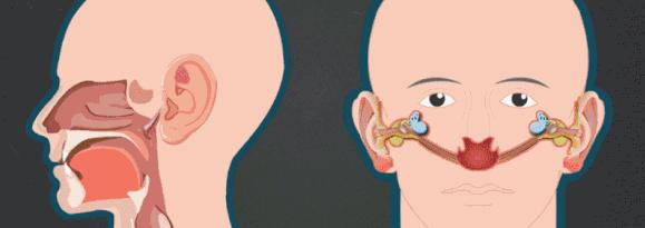 小孩半夜耳朵疼怎么解决,急性中耳炎耳朵痛