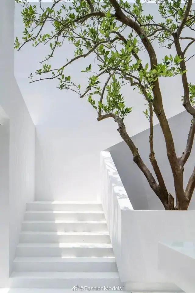 刘雯在陈伟霆家,刘雯陈伟霆家庭装修