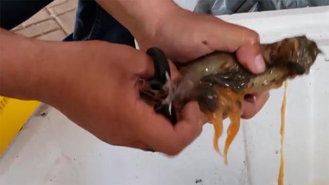 27岁姑娘创业失败,27岁姑娘白手起家400栋楼