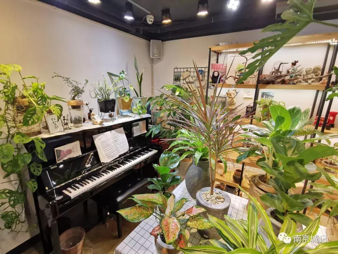 上海老破小弄堂,南京小资打卡圣地