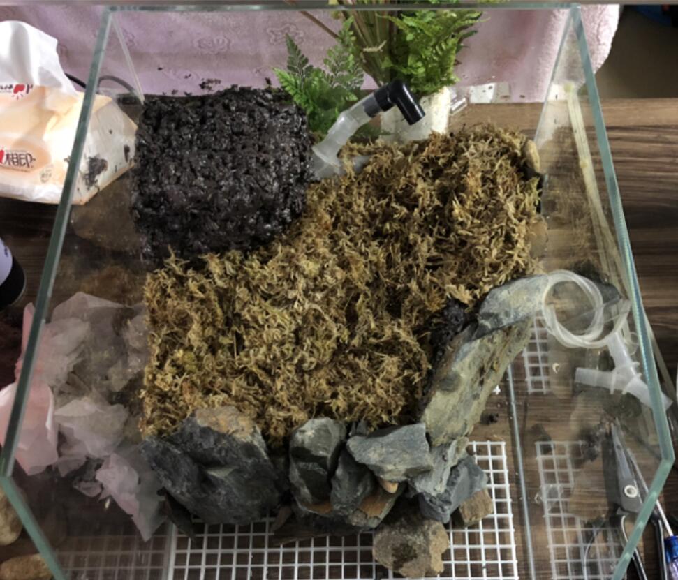 半夜睡不着想改造房间把家拆了,睡不着觉的装修效果图