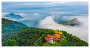 好看又好玩的表情包都在哪找,清凉的表情包动图