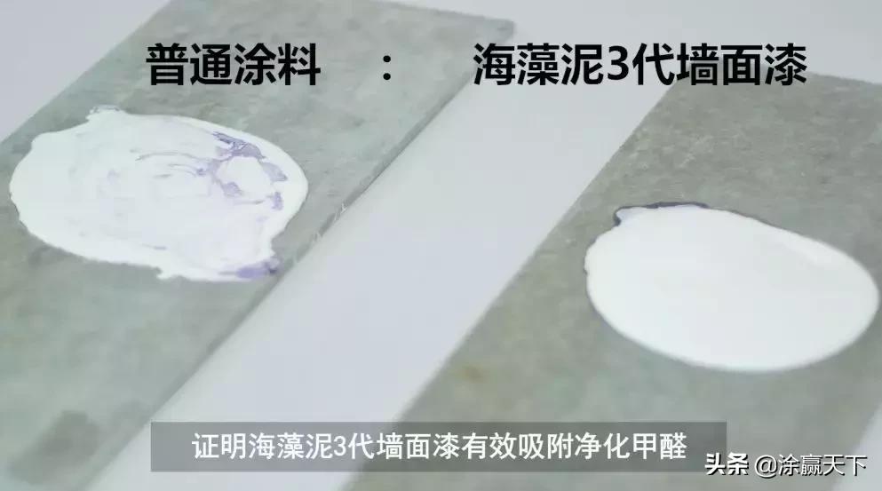 嘉宝莉海藻泥4代和益呼吸,嘉宝莉海藻泥3代效果图