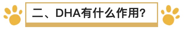 孕期究竟有没有必要补dha,孕期dha有必要补吗