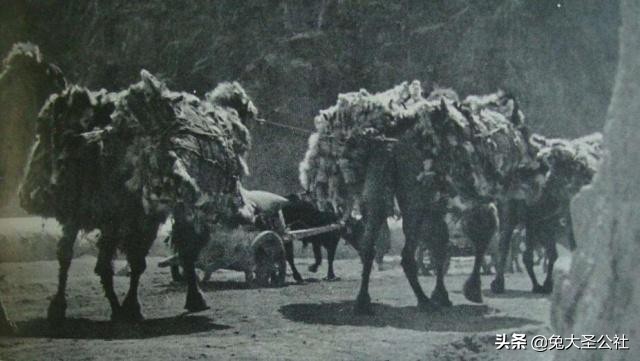 西南军阀贩毒往事:毒枭显得小儿科,*片鸦**堪称硬通货