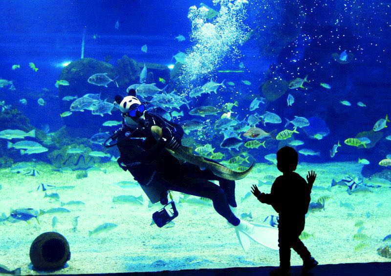 海悦天地海洋公园,庄里溜娃好去处