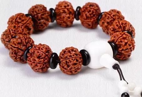 文玩背后的阴暗——鲜血淋漓惨不忍睹！人性居然能恶毒到如此地步