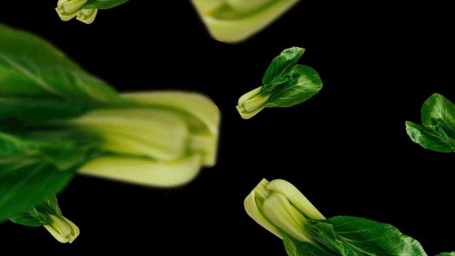 ppt动态环状图制作,ppt多图动态效果制作