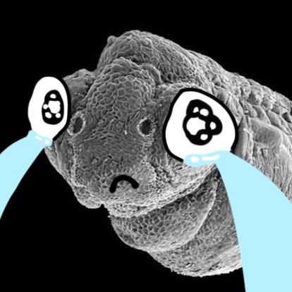 美白精华粉底液,美白养肤粉底液测评