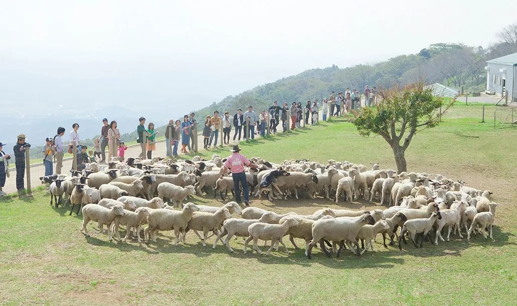 日本生态农业庄园,日本田园农场排行榜