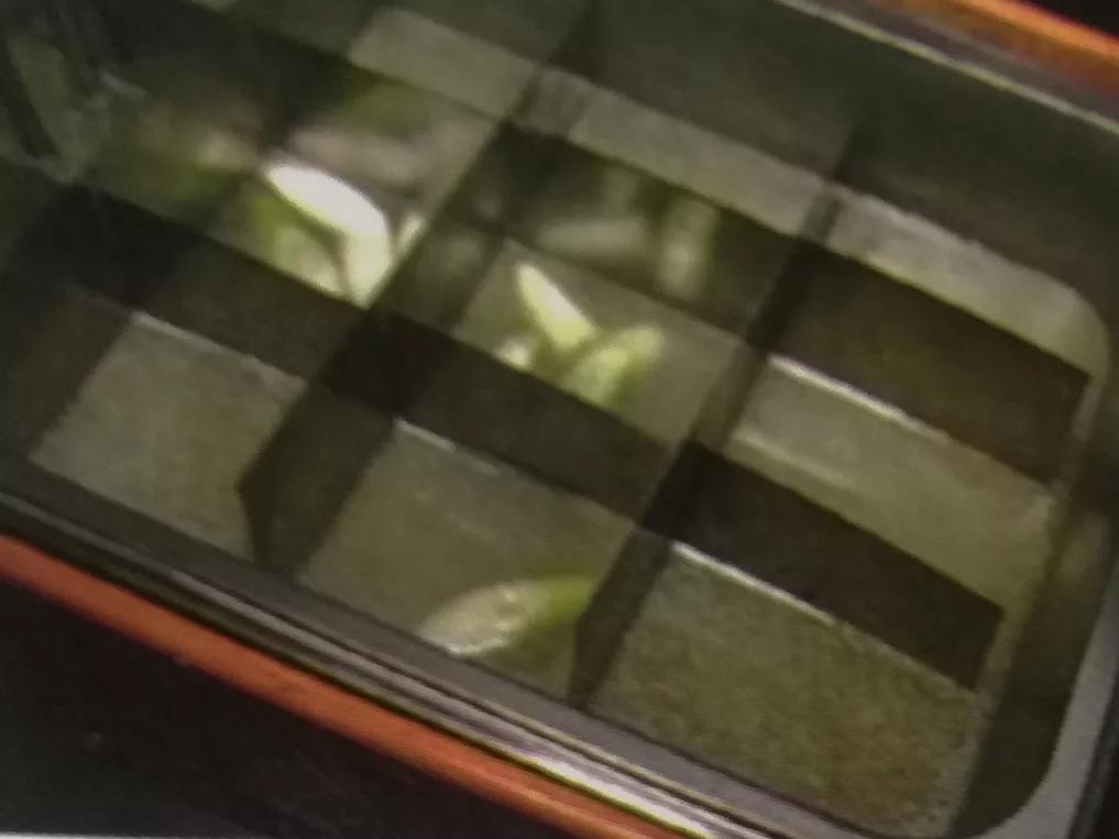 关东煮最火的小吃,摆摊关东煮小吃做法