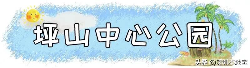 深圳免费的景点有哪些地方,深圳有哪些免费又好玩的地方景点