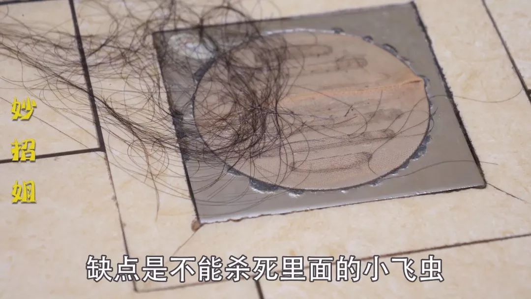 屋里出现好多黑色小飞虫怎么回事,家里突然多了很多很小的黑色飞虫