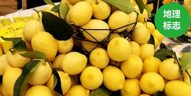 齐心抗疫·地标助农|安岳柠檬，小清新香飘四海