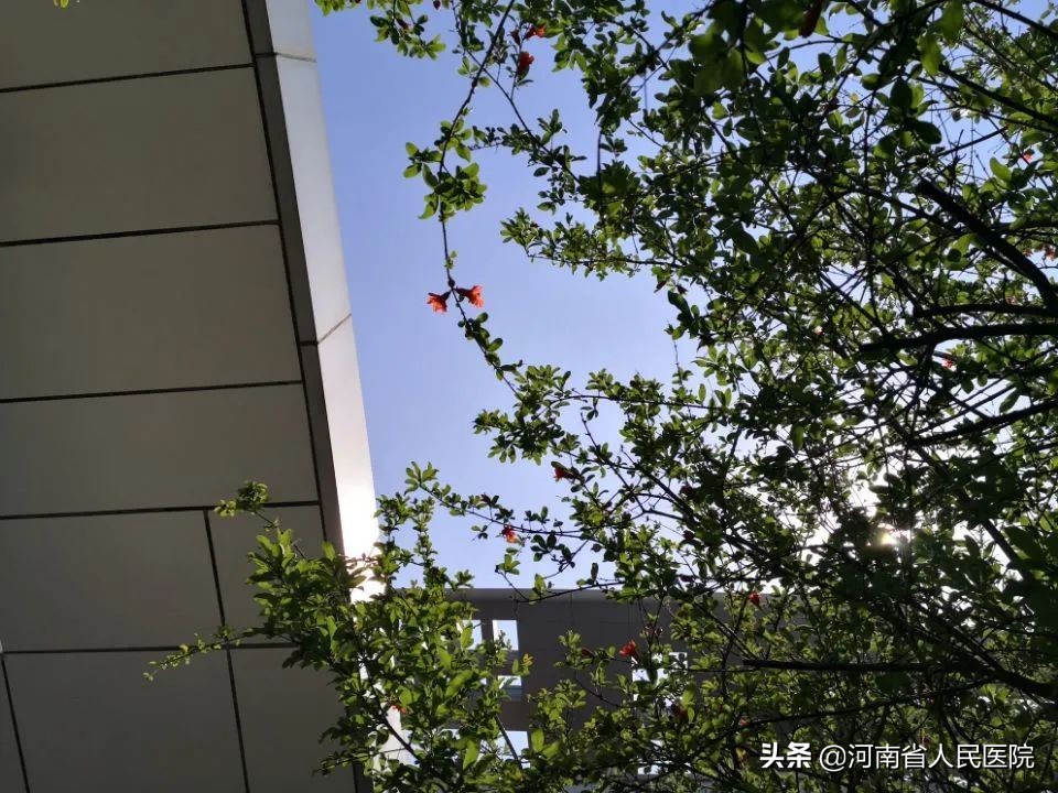 防晒霜spf和fps的区别,防晒霜spfp