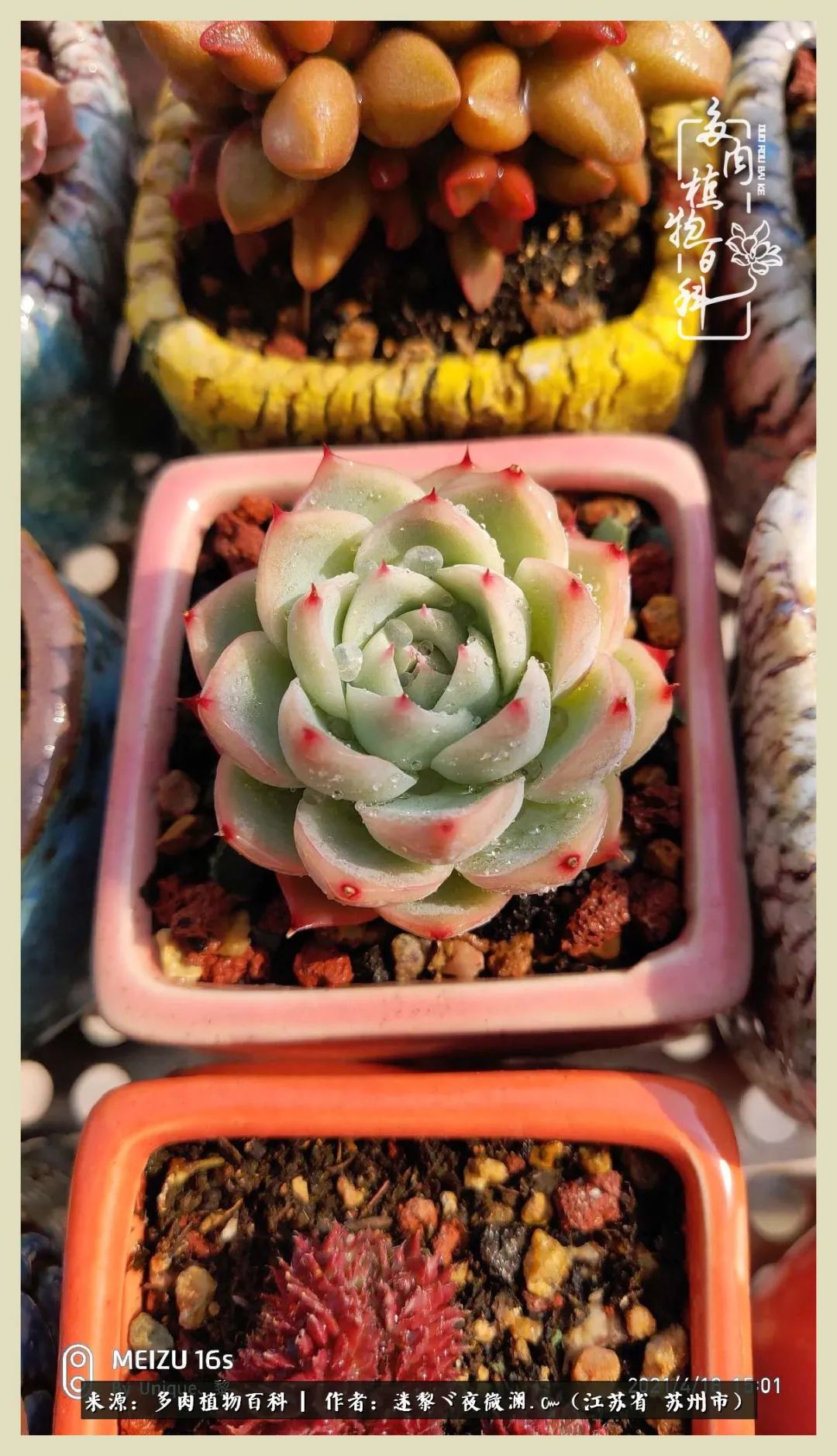 秋尽冬来岁月不居时节如流,岁月不居时节如流水