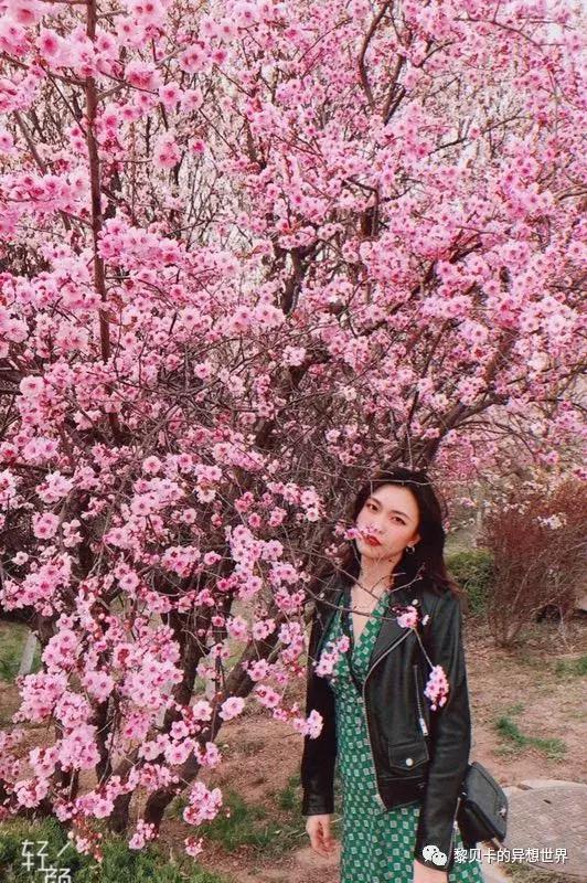 她们穿的连衣裙,她们穿的花裙子