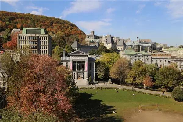 加拿大名校鄙视链,加拿大留学吐槽