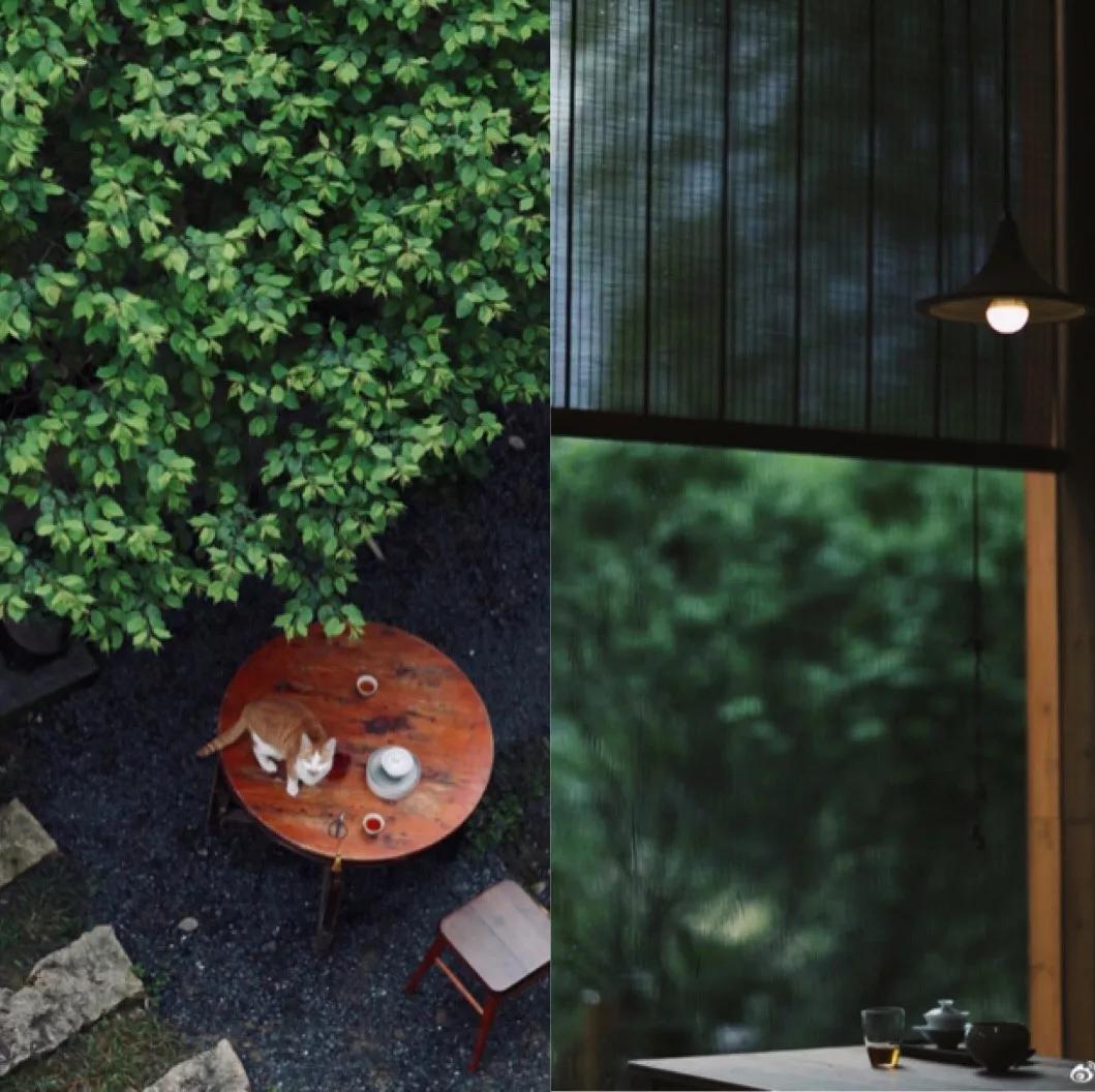 武夷山亲子民宿推荐独栋别墅,武夷山风景区民宿推荐价格表