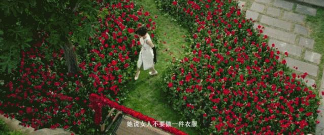 最令人印象深刻的烂片是哪一部,经典烂片大全视频