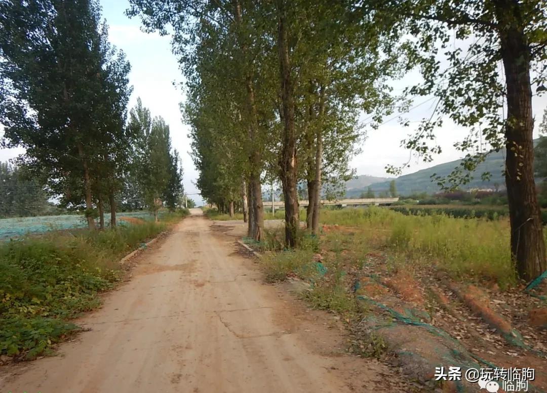 鍥炲繂鎴戠殑姣嶄翰鏈楄,鍥炲繂鎴戠殑姣嶄翰璧忔瀽