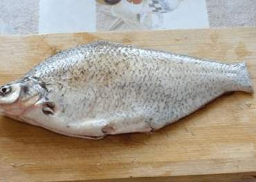 鱼有柴油味道是什么原因,做鱼为什么有土腥味