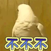 狗狗的便便是红色的还很硬,狗狗的便便怎么能看出来有虫