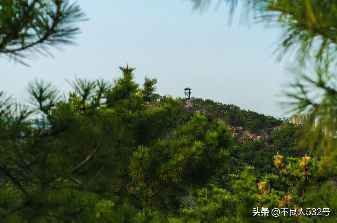青岛60岁以上老人免费景区,青岛小鱼山景区免费开放
