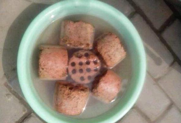 养花不捡垃圾是不可能的视频,养花没有蜂窝煤用什么代替比较好