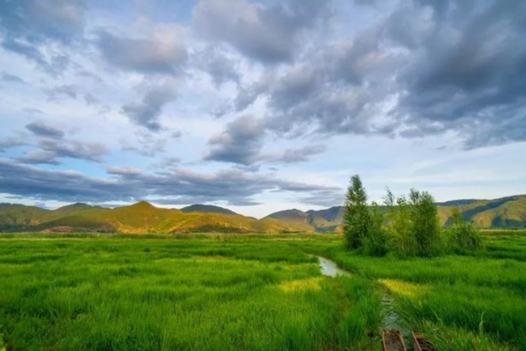 云南低价游导游威胁游客违法吗,低价旅行团旅游陷阱云南