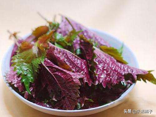 小龙虾最佳搭配的蔬菜,紫苏味小龙虾调料