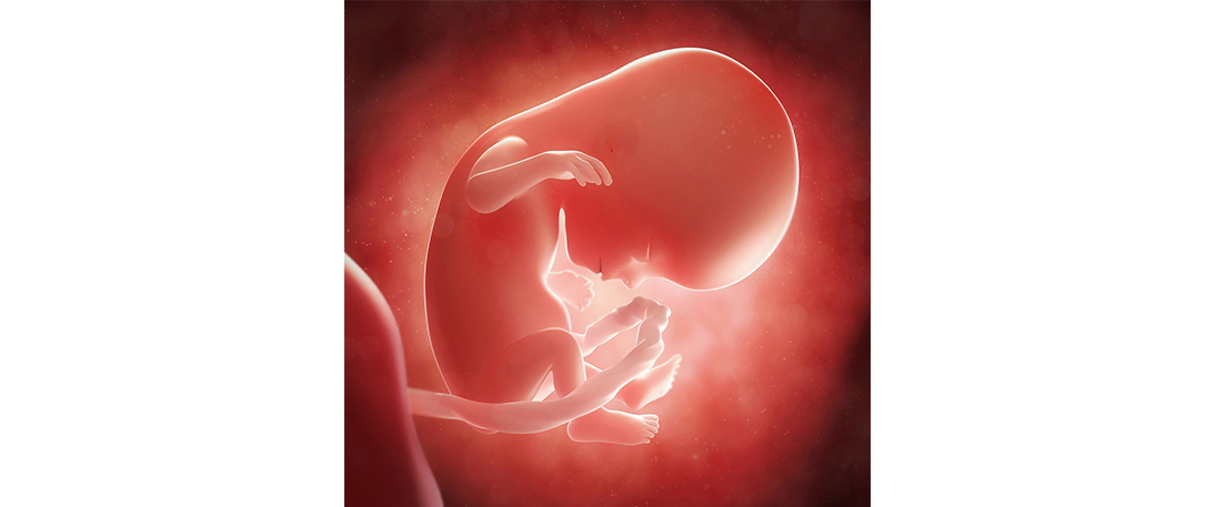 孕7周胚胎发育缓慢怎样才能更好,胎教0-6个月完整版