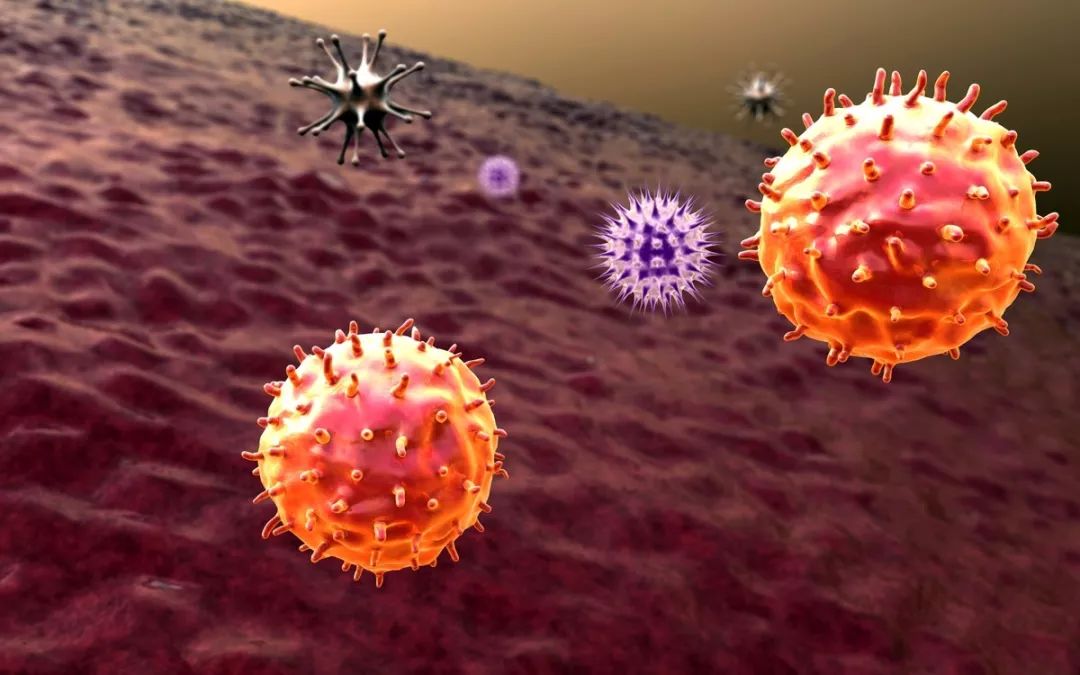 鼠疫故事背景,历史上鼠疫大规模爆发的原因