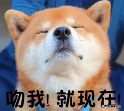 靠活头条：*拍偷**事件蔓延岛城，崂山中韩出了个变态房东！