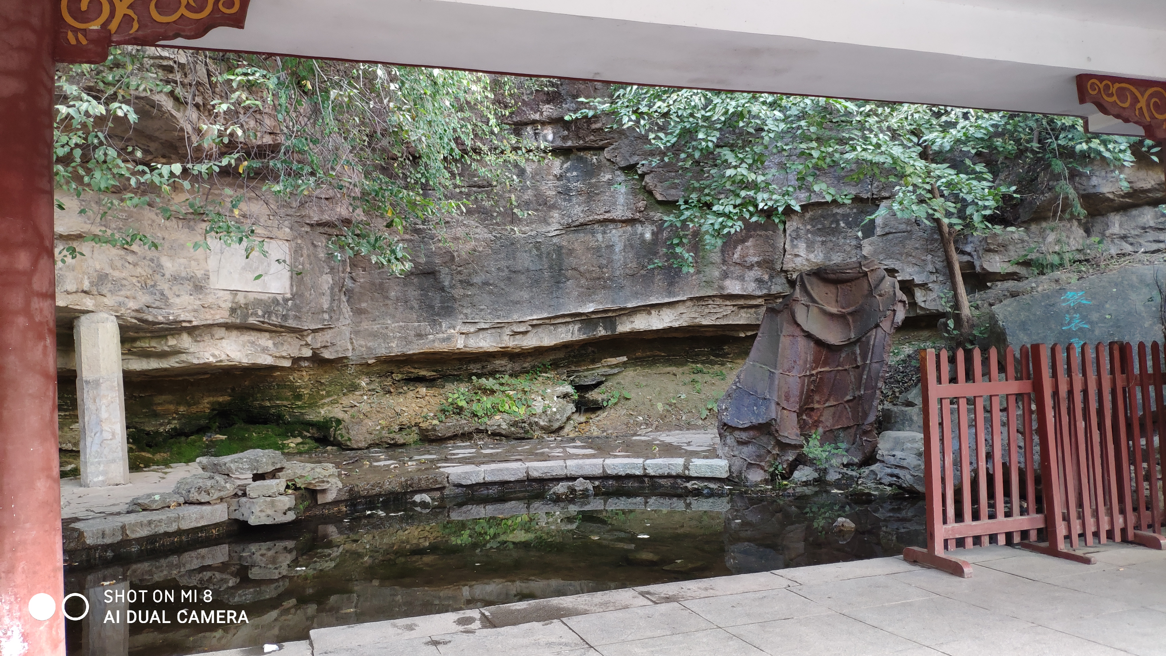 去济南灵岩寺什么必看,济南灵岩寺神树