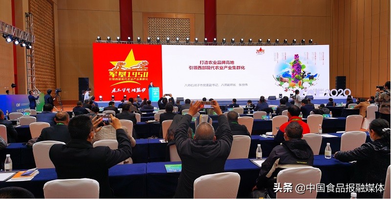 十八届重庆农交会,广西第十八届农交会