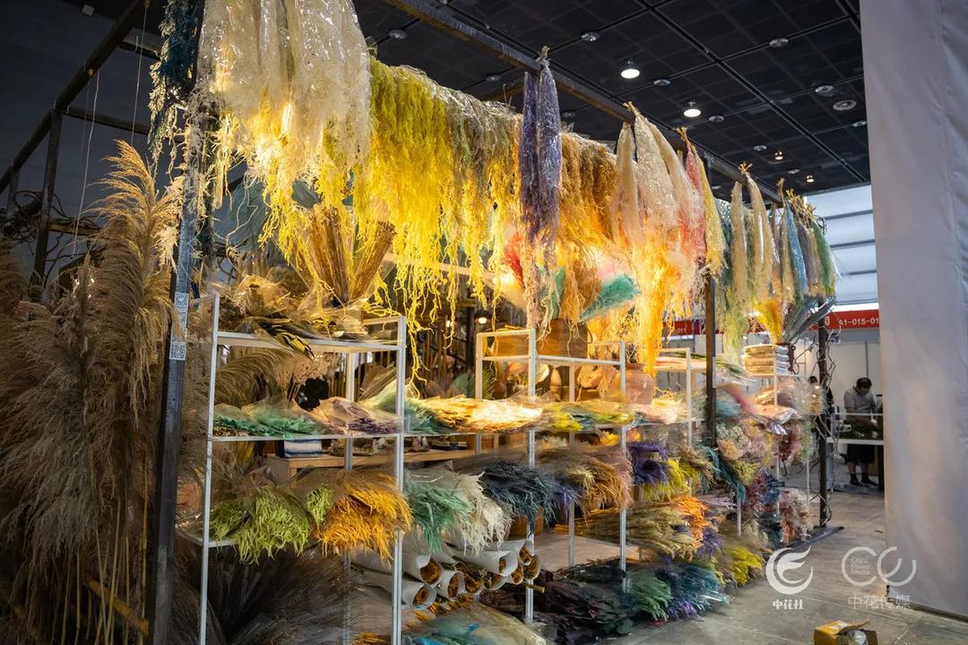 人如云，花似锦！第21届“零交会”今日开幕，“最美花展”惊艳亮相