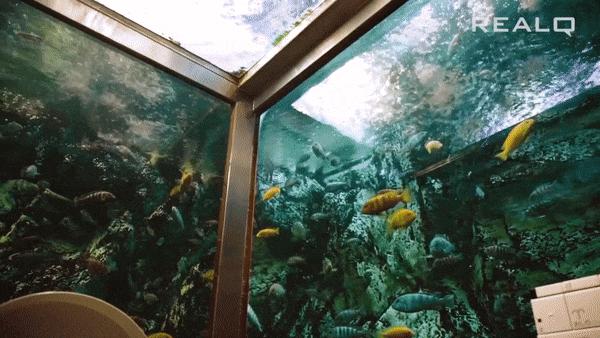 奇葩式厕所设计,最实用的厕所设计