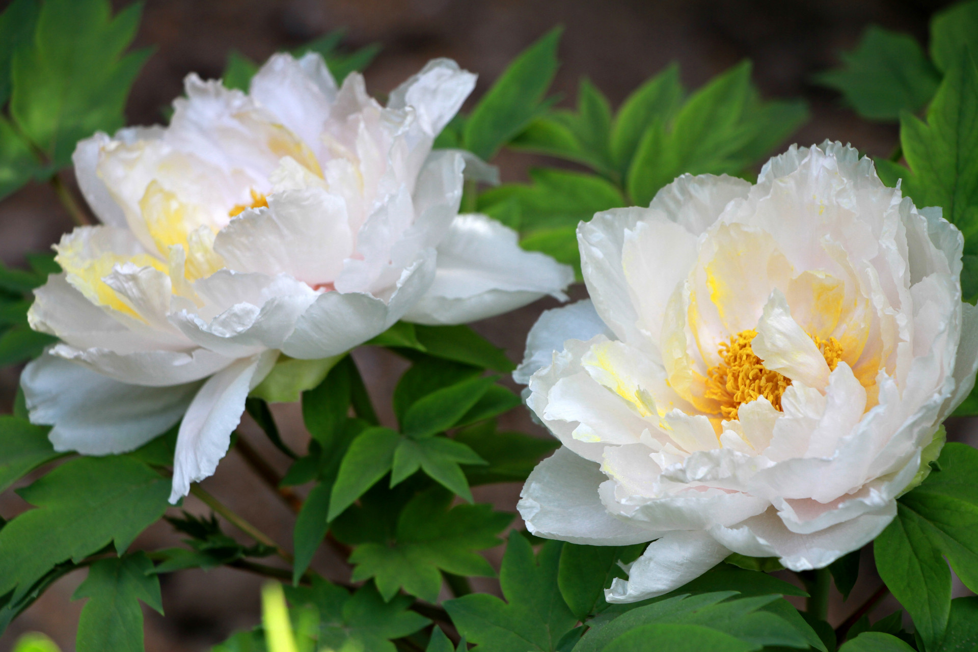 微信好友借钱不还怎么办,微信上借钱给别人不还怎么办